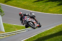 brands-hatch-photographs;brands-no-limits-trackday;cadwell-trackday-photographs;enduro-digital-images;event-digital-images;eventdigitalimages;no-limits-trackdays;peter-wileman-photography;racing-digital-images;trackday-digital-images;trackday-photos